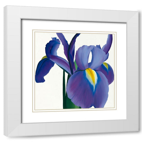 Iris White Modern Wood Framed Art Print with Double Matting by Andrew, Stephanie