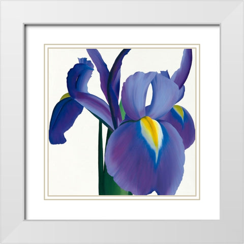 Iris White Modern Wood Framed Art Print with Double Matting by Andrew, Stephanie