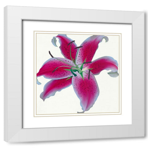 Lily White Modern Wood Framed Art Print with Double Matting by Andrew, Stephanie