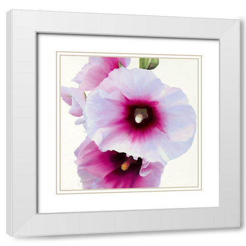 White Hollyhock I White Modern Wood Framed Art Print with Double Matting by Andrew, Stephanie
