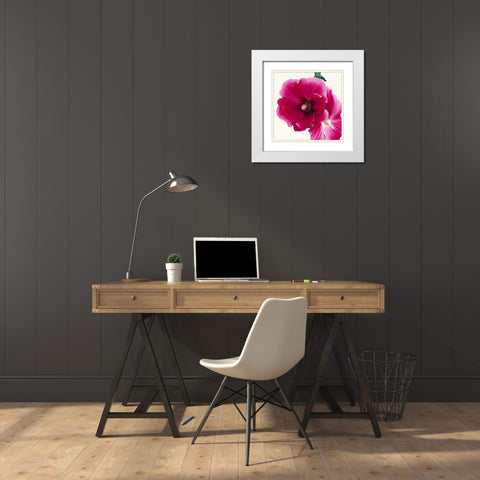 Pink Hollyhock I White Modern Wood Framed Art Print with Double Matting by Andrew, Stephanie