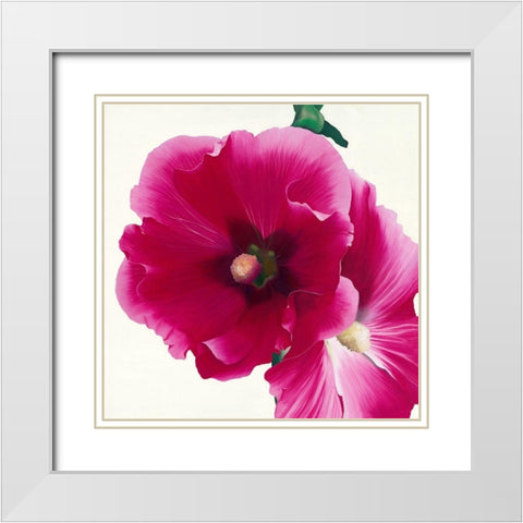 Pink Hollyhock I White Modern Wood Framed Art Print with Double Matting by Andrew, Stephanie