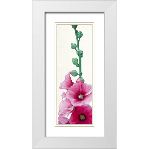 Pink Hollyhock II White Modern Wood Framed Art Print with Double Matting by Andrew, Stephanie