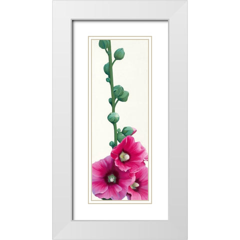 Pink Hollyhock III White Modern Wood Framed Art Print with Double Matting by Andrew, Stephanie
