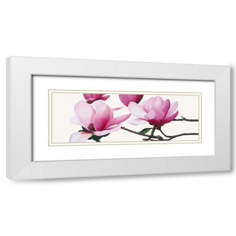 Apollo I (Magnolia) White Modern Wood Framed Art Print with Double Matting by Andrew, Stephanie