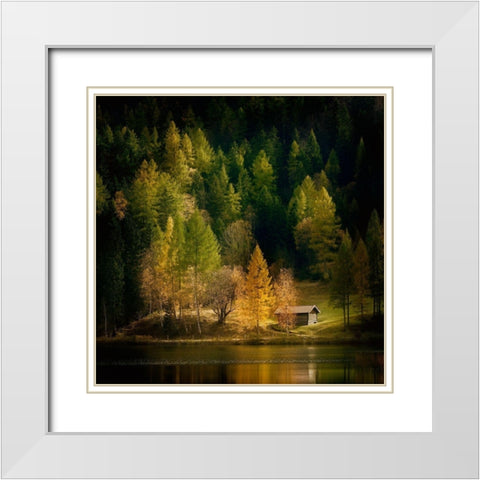Nature Art Color I White Modern Wood Framed Art Print with Double Matting by Steger, Uwe