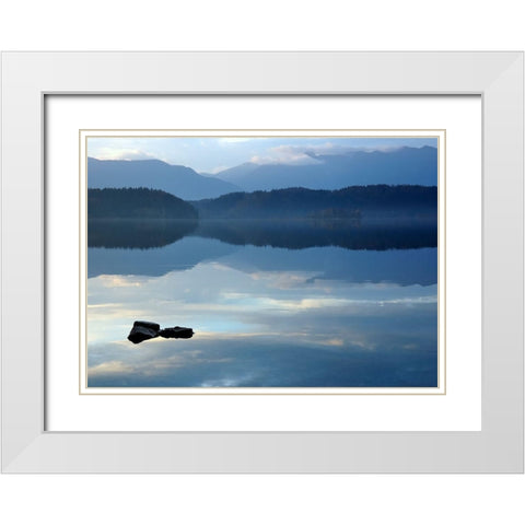 Nature Art Color IV White Modern Wood Framed Art Print with Double Matting by Steger, Uwe