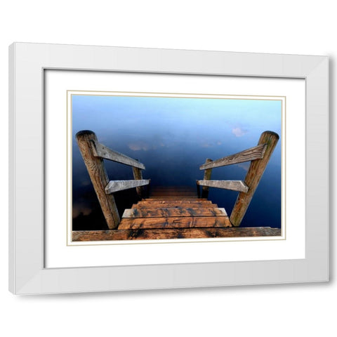 Nature Art Color VI White Modern Wood Framed Art Print with Double Matting by Steger, Uwe