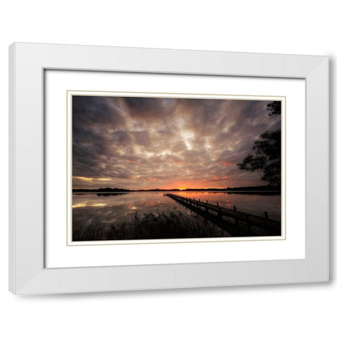 Nature Art Color IX White Modern Wood Framed Art Print with Double Matting by Steger, Uwe