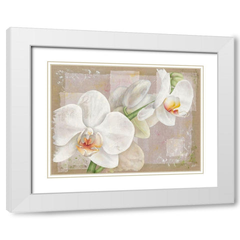 Orchidee White Modern Wood Framed Art Print with Double Matting by Cadoret, Virginie