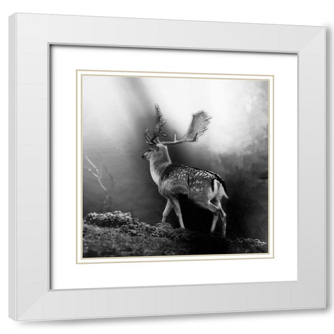Wildwechsel White Modern Wood Framed Art Print with Double Matting by Steger, Uwe