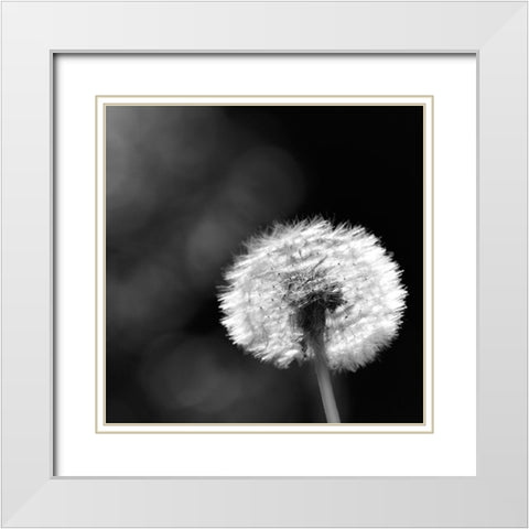 Summerspirit... White Modern Wood Framed Art Print with Double Matting by Steger, Uwe