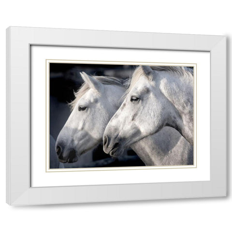 Good Friends White Modern Wood Framed Art Print with Double Matting by Llovet, Jorge