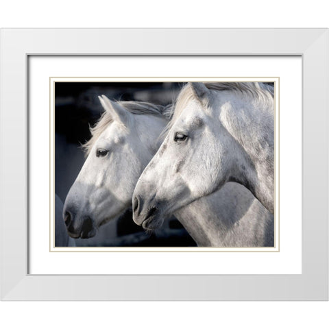 Good Friends White Modern Wood Framed Art Print with Double Matting by Llovet, Jorge
