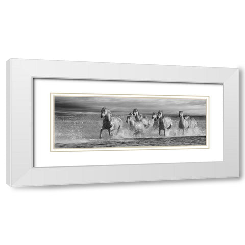 Horses Running at the Beach White Modern Wood Framed Art Print with Double Matting by Llovet, Jorge