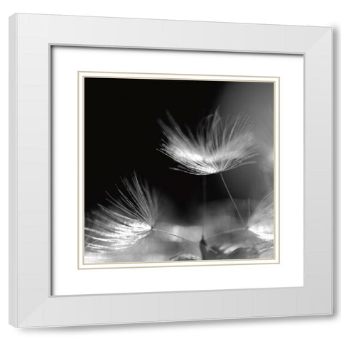 Summerstorm White Modern Wood Framed Art Print with Double Matting by Steger, Uwe