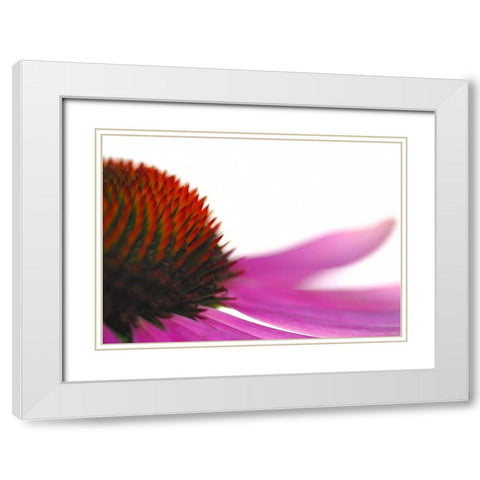 Leftside White Modern Wood Framed Art Print with Double Matting by Steger, Uwe