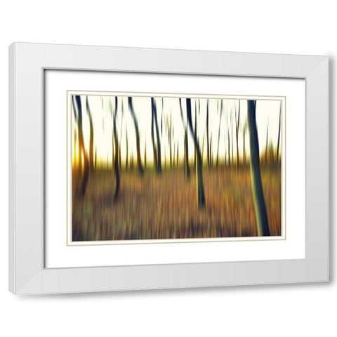 Abstrahierte Welten II White Modern Wood Framed Art Print with Double Matting by Suschaa
