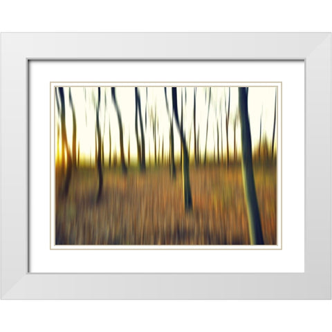 Abstrahierte Welten II White Modern Wood Framed Art Print with Double Matting by Suschaa