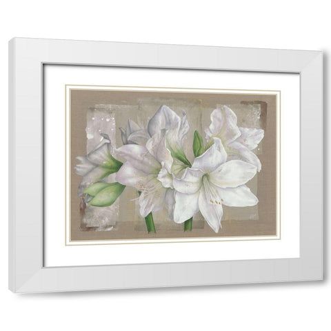 Amaryllis Blanc White Modern Wood Framed Art Print with Double Matting by Cadoret, Virginie