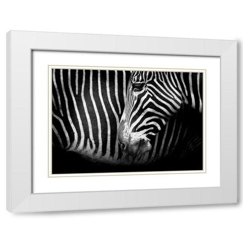 Closer White Modern Wood Framed Art Print with Double Matting by Cano, Marina