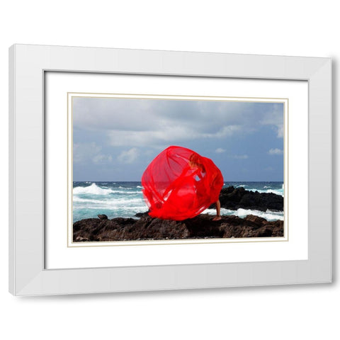 Fireball White Modern Wood Framed Art Print with Double Matting by Westfield, Wim