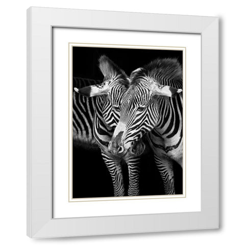 A Team with You White Modern Wood Framed Art Print with Double Matting by Cano, Marina