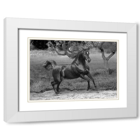 Feeling Free White Modern Wood Framed Art Print with Double Matting by Llovet, Jorge