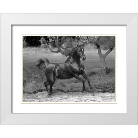 Feeling Free White Modern Wood Framed Art Print with Double Matting by Llovet, Jorge