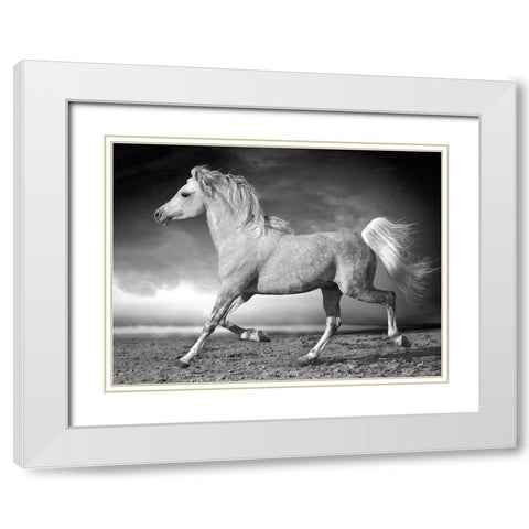 Walking along the Beach White Modern Wood Framed Art Print with Double Matting by Llovet, Jorge