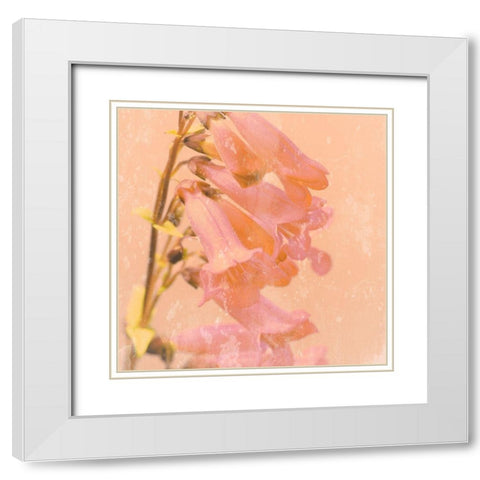 Romantic Foxglove White Modern Wood Framed Art Print with Double Matting by Lambert, Tom