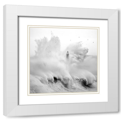 Birds in the Storm White Modern Wood Framed Art Print with Double Matting by Cano, Marina