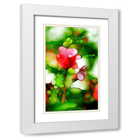 Malvenblute White Modern Wood Framed Art Print with Double Matting by Schmidt, Renate M.