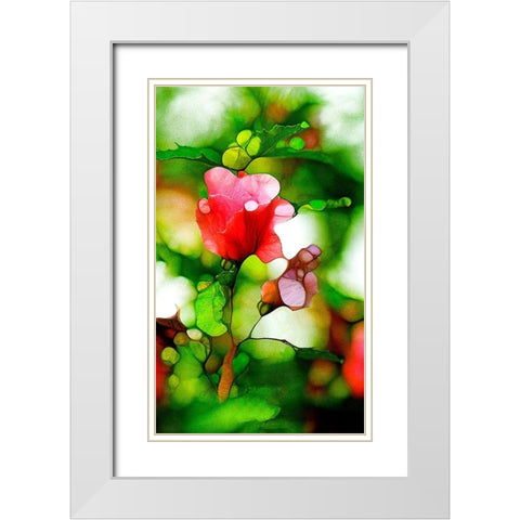 Malvenblute White Modern Wood Framed Art Print with Double Matting by Schmidt, Renate M.