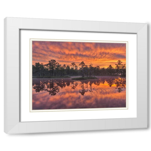 Dawn White Modern Wood Framed Art Print with Double Matting by Strand, Hans