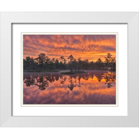 Dawn White Modern Wood Framed Art Print with Double Matting by Strand, Hans
