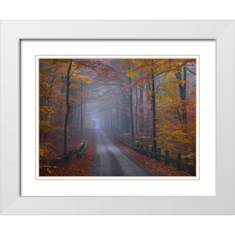 Misty Road White Modern Wood Framed Art Print with Double Matting by Strand, Hans