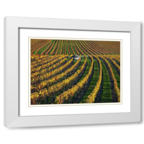 Veineyards of hautes cotes Burgundy White Modern Wood Framed Art Print with Double Matting by Strand, Hans