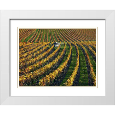 Veineyards of hautes cotes Burgundy White Modern Wood Framed Art Print with Double Matting by Strand, Hans