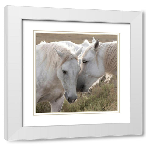 We have some Secrets White Modern Wood Framed Art Print with Double Matting by Llovet, Jorge