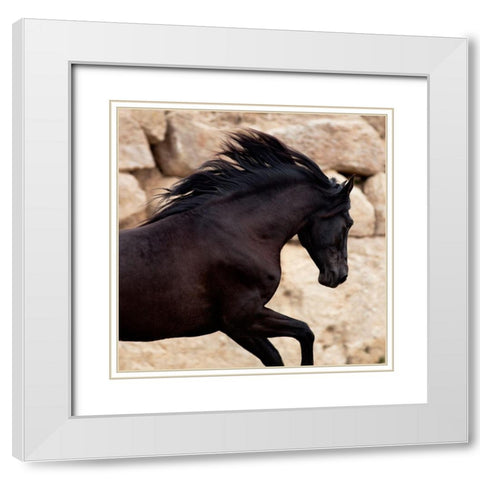 Black Power White Modern Wood Framed Art Print with Double Matting by Llovet, Jorge