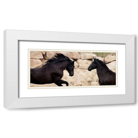 ChallengingÂ  each Other White Modern Wood Framed Art Print with Double Matting by Llovet, Jorge