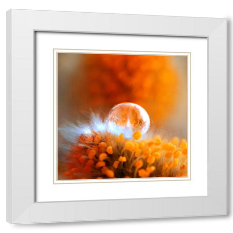Eternal Flame White Modern Wood Framed Art Print with Double Matting by Seidel, Lily Andrea