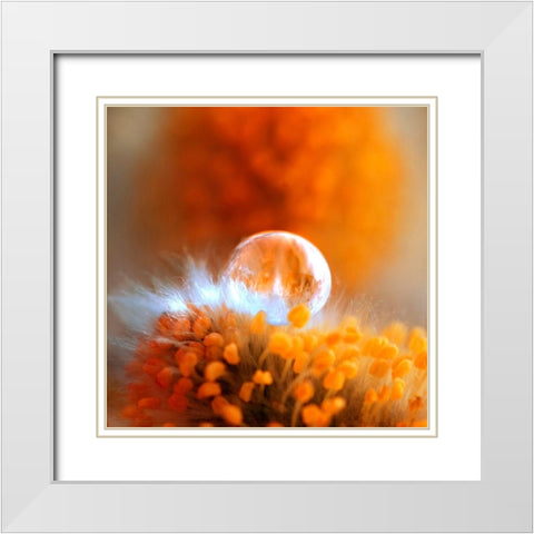 Eternal Flame White Modern Wood Framed Art Print with Double Matting by Seidel, Lily Andrea