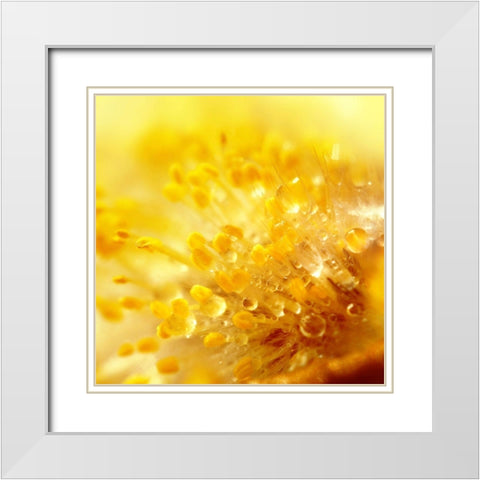 Break Through White Modern Wood Framed Art Print with Double Matting by Seidel, Lily Andrea