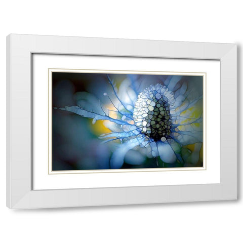 Eisdistel White Modern Wood Framed Art Print with Double Matting by Schmidt, Renate M.