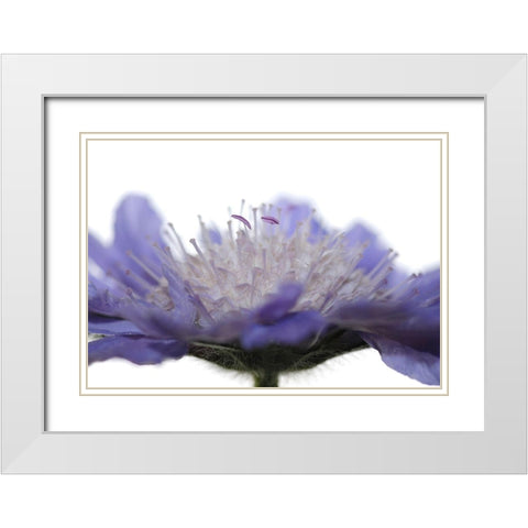 Inside White Modern Wood Framed Art Print with Double Matting by Steger, Uwe
