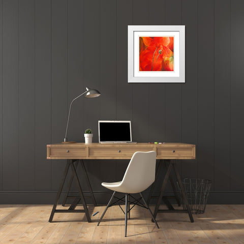 Roter Mohn White Modern Wood Framed Art Print with Double Matting by Schmucker, Annette