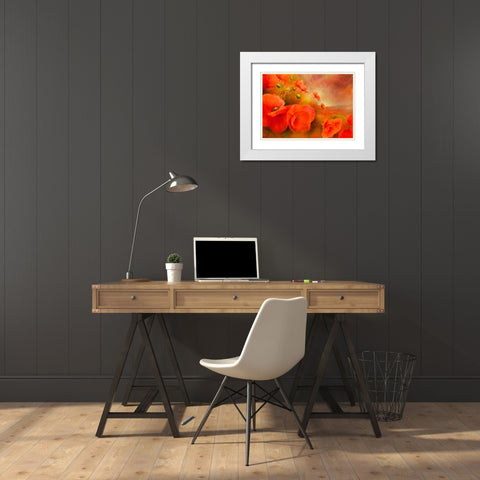 Im Abendlicht White Modern Wood Framed Art Print with Double Matting by Schmucker, Annette