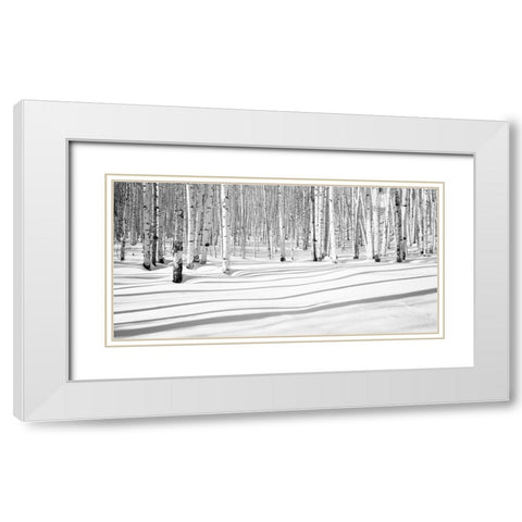 Aspen Shadows White Modern Wood Framed Art Print with Double Matting by Butcher, Dave